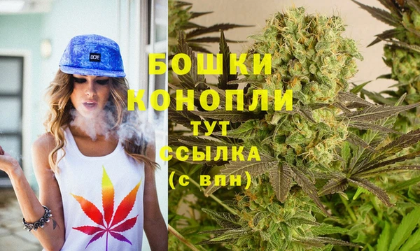 альфа пвп Краснослободск