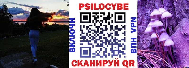 Купить  Бабаево  Псилоцибиновые грибы MAGIC MUSHROOMS 